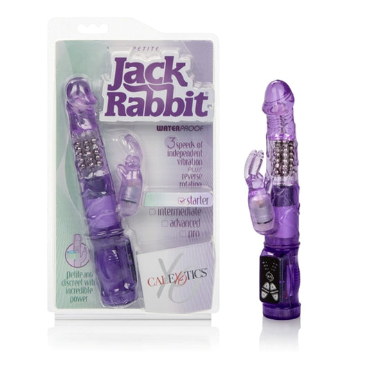 Petite Jack Rabbit - Purple SE0610402