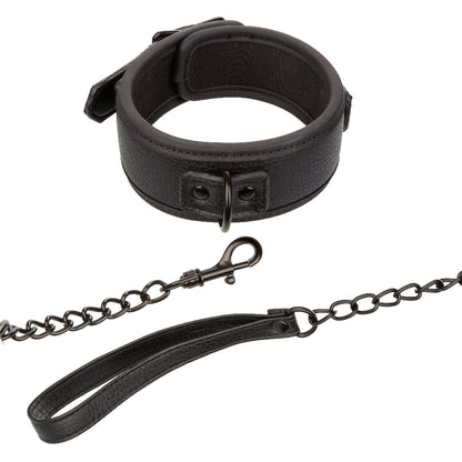 Nocturnal Collection  Collar and Leash - Black SE2678103