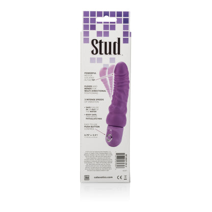 Bendie Power Stud - Curvy - Purple SE0837033