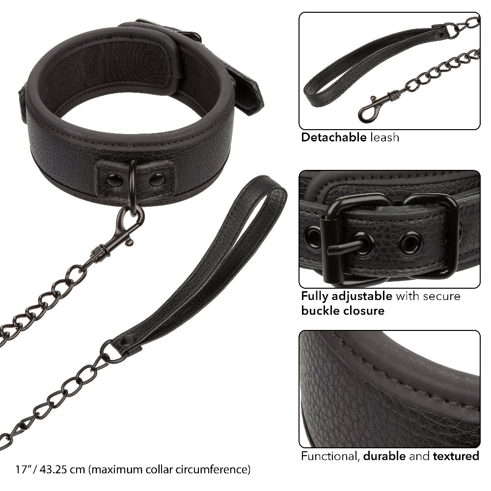 Nocturnal Collection  Collar and Leash - Black SE2678103