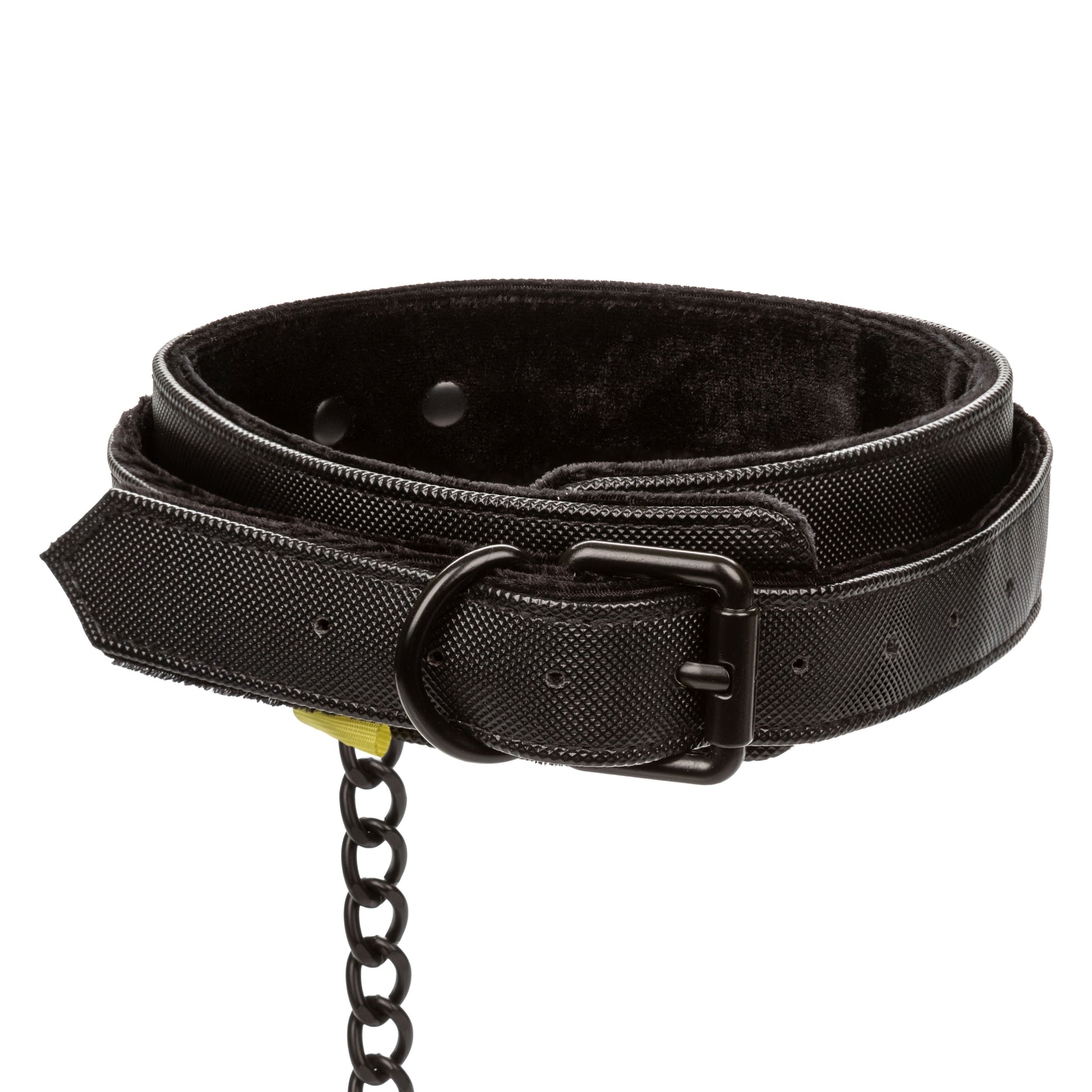 Boundless Collar & Leash SE2702403