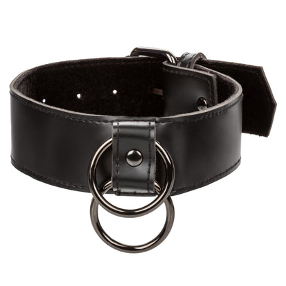 Euphoria Collection Collar With Chain Leash -  Black SE3100553