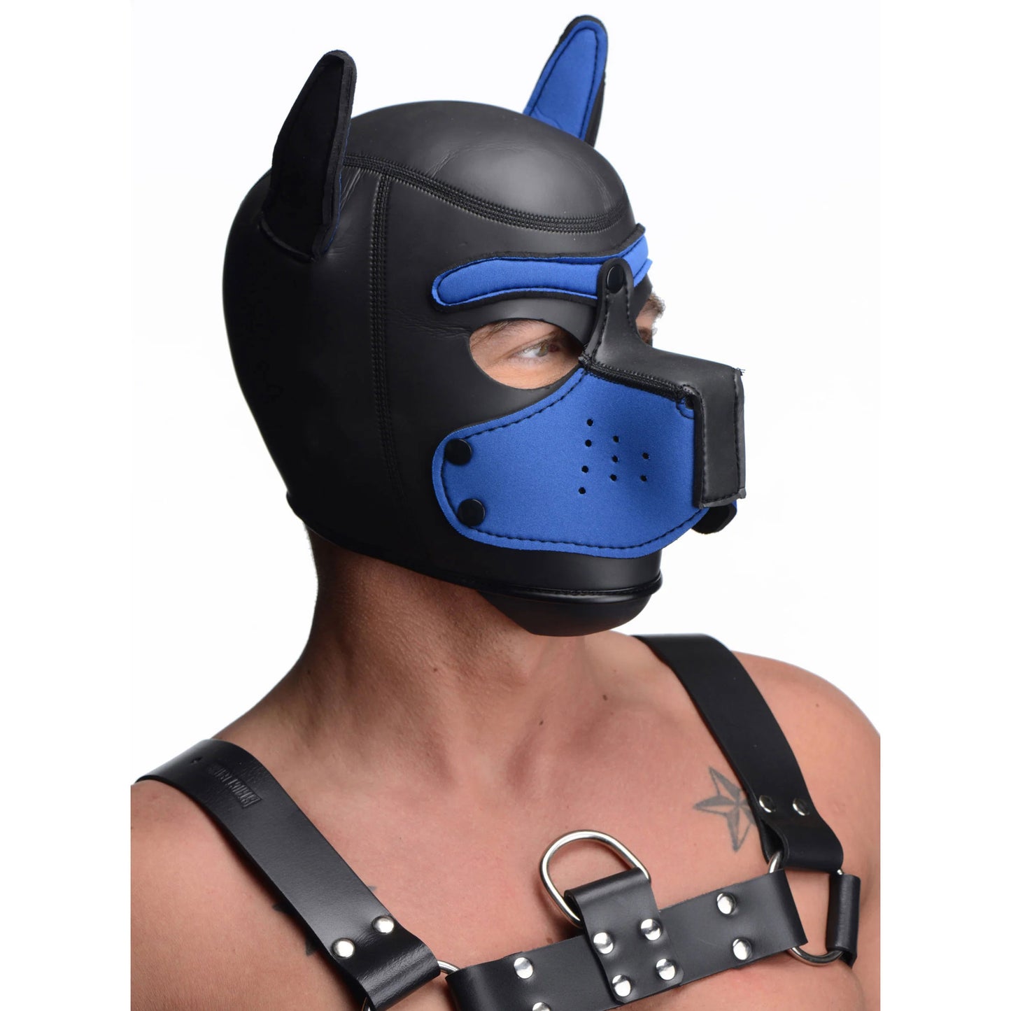 Spike Neoprene Puppy Hood - Blue MS-AG292-BLU