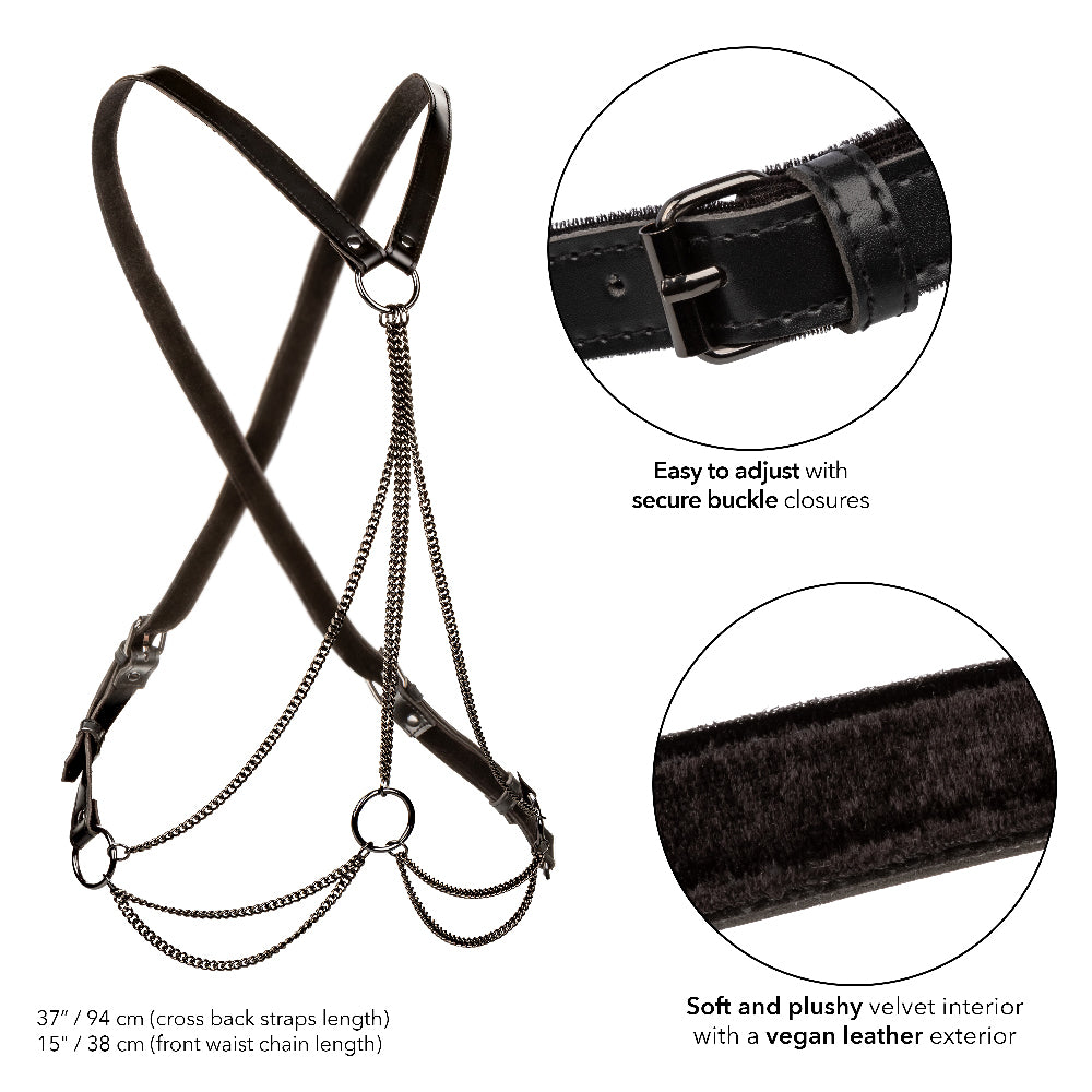 Euphoria Collection Multi Chain Harness - Black SE3101203