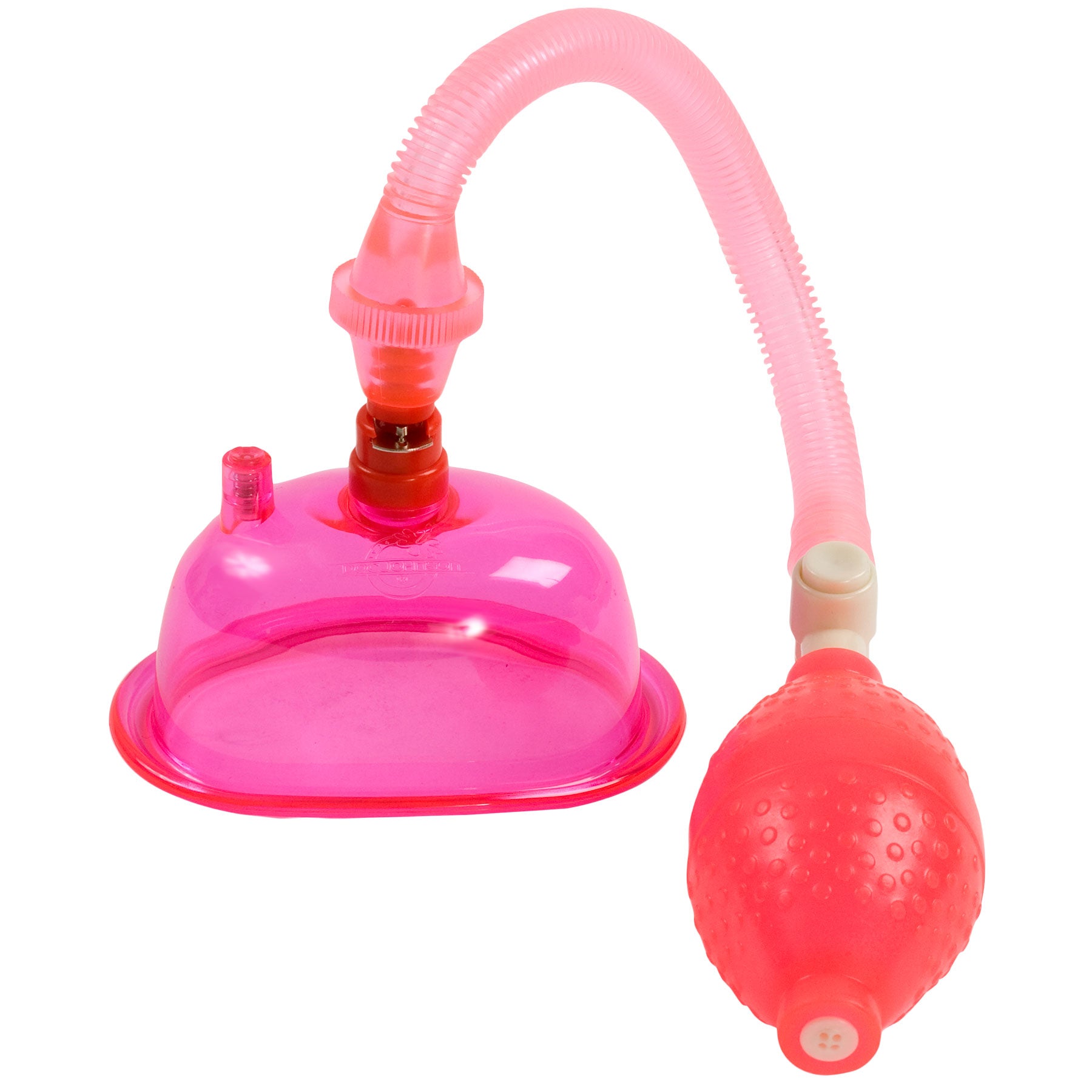 Pussy Pump in a Bag - Pink DJ5006-02-BG