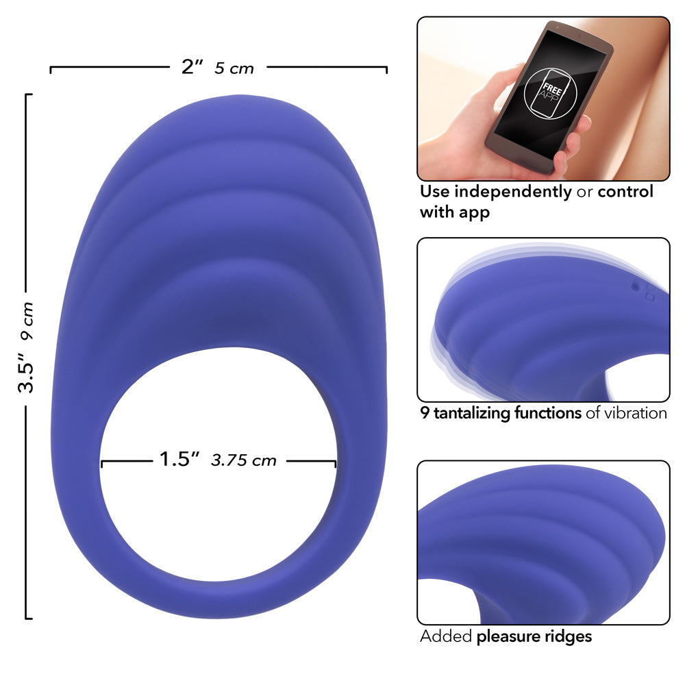 Calexotics Connect Couples Ring - Periwinkle SE0001003