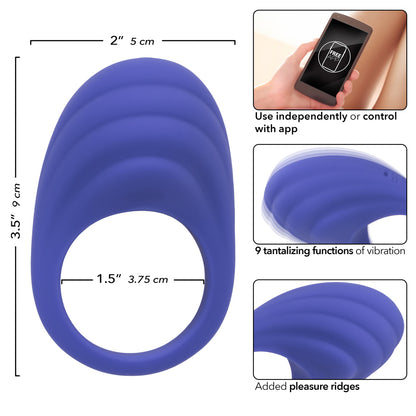 Calexotics Connect Couples Ring - Periwinkle SE0001003