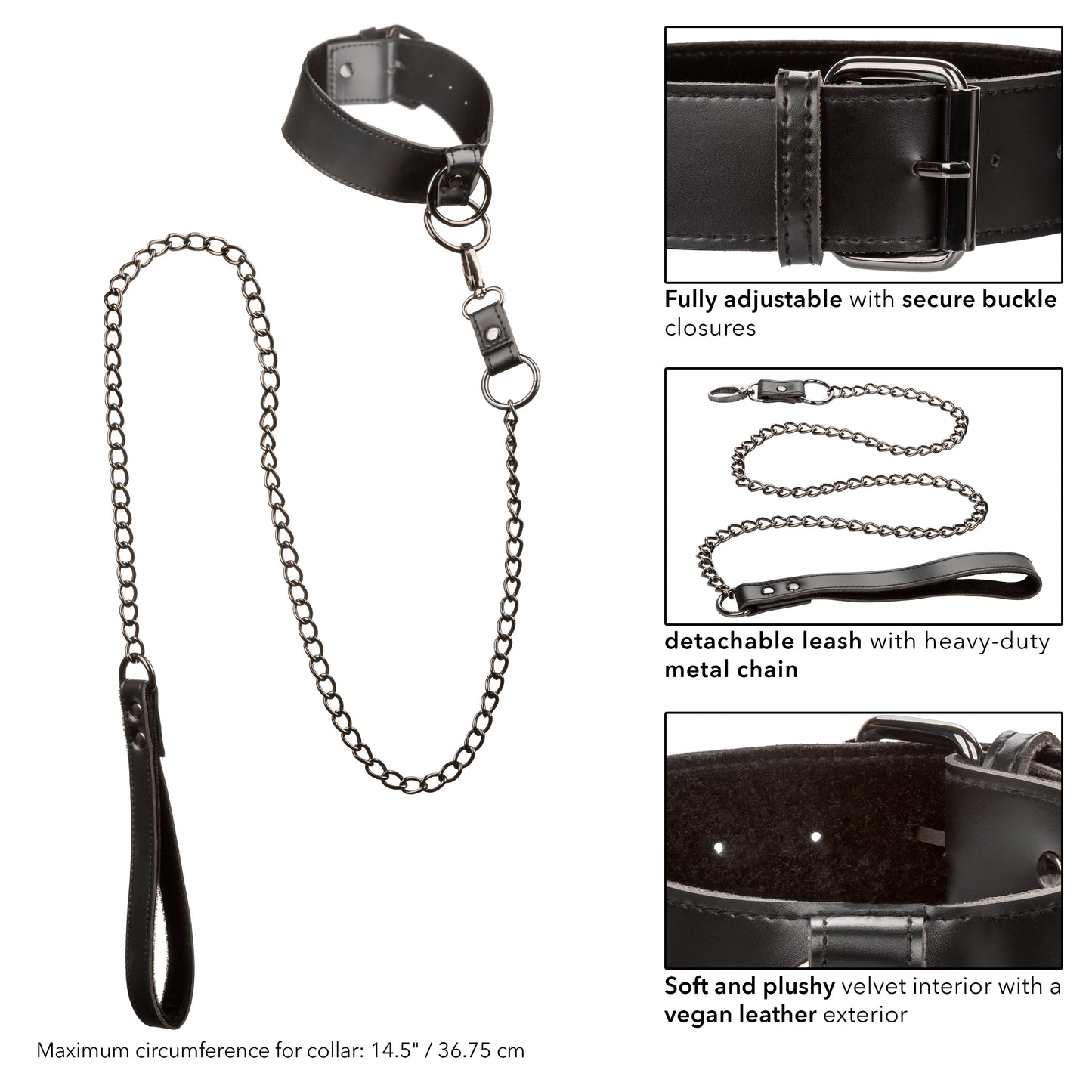 Euphoria Collection Collar With Chain Leash -  Black SE3100553